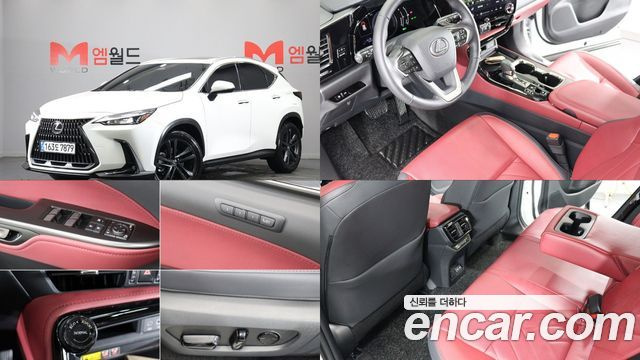 Lexus NX Premium купить на сайте DeffCars