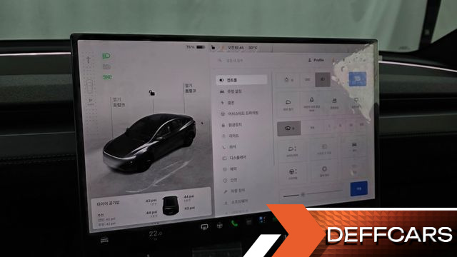 Tesla MODEL Y Premium Long Range AWD купить на сайте DeffCars