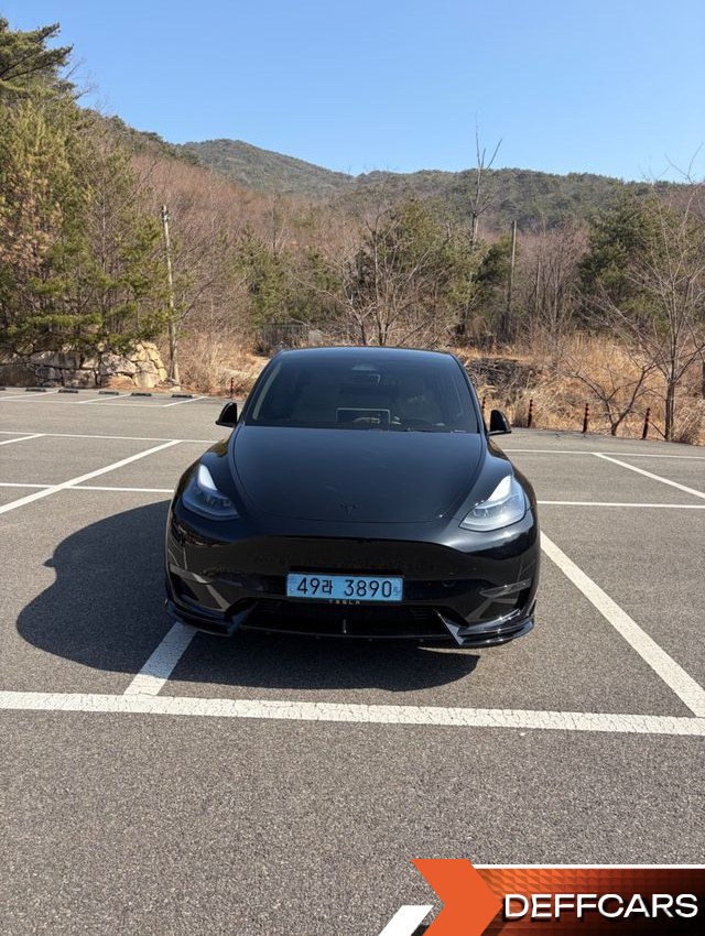 Tesla MODEL Y Long Range AWD купить на сайте DeffCars