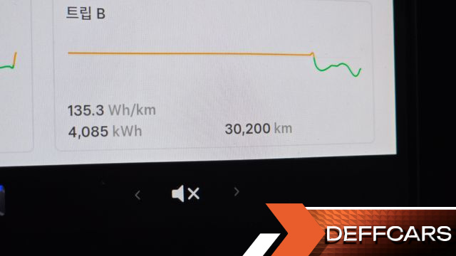 Tesla MODEL Y RWD купить на сайте DeffCars