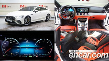 Mercedes AMG GT 4Door 43 4MATIC+ Special Edition купить на сайте DeffCars