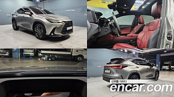 Lexus NX Luxury купить на сайте DeffCars