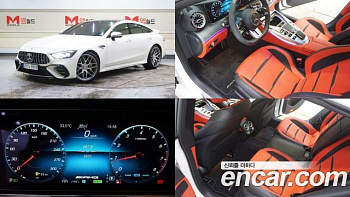 Mercedes AMG GT 4Door 43 4MATIC+ Special Edition купить на сайте DeffCars